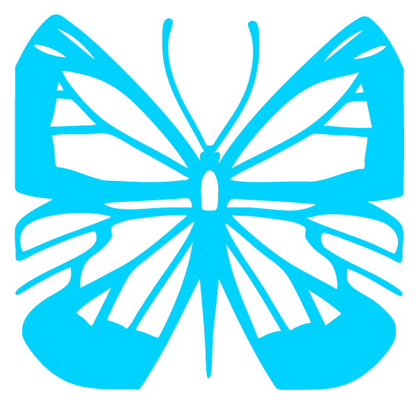 FM sante et bien etre papillon bleu clair